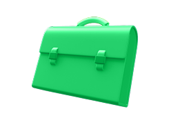 bag
